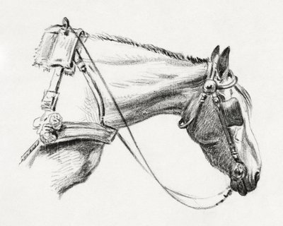 Testa di cavallo (1820) da Jean Bernard