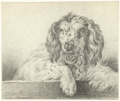 Cane da Jean Bernard