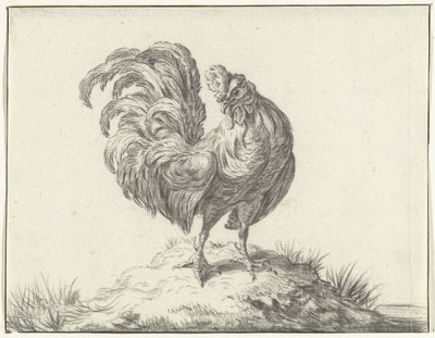 Pollo, in piedi su una collinetta da Jean Bernard