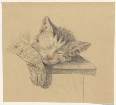 Testa e zampa di un gatto che dorme da Jean Bernard