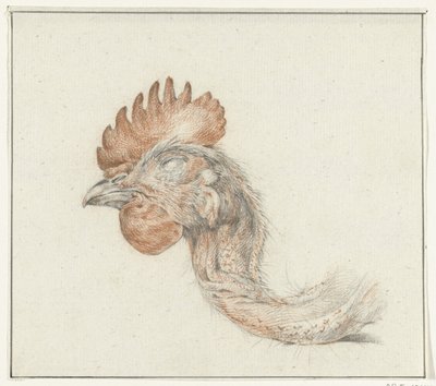 Testa di un pollo morto da Jean Bernard