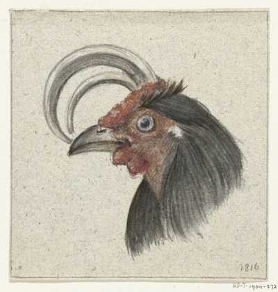 Testa di un gallo da Jean Bernard