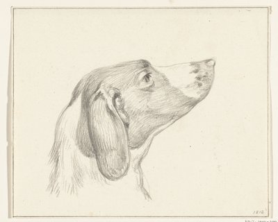Testa di un cane, a destra da Jean Bernard