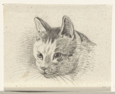 Testa di un gatto da Jean Bernard
