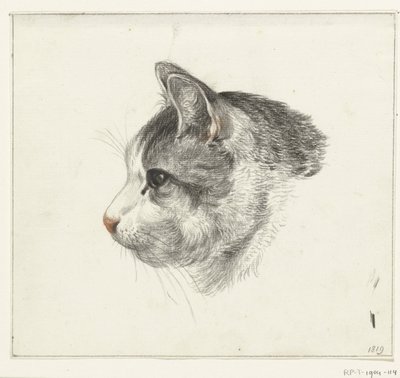 Testa di un gatto, verso sinistra da Jean Bernard