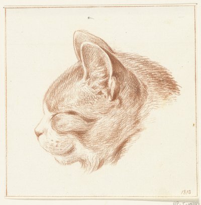 Testa di un gatto, verso sinistra da Jean Bernard