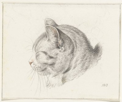 Testa di un gatto, verso sinistra da Jean Bernard