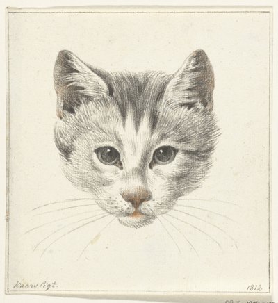 Testa di un gatto, vista di fronte alla luce di una candela da Jean Bernard