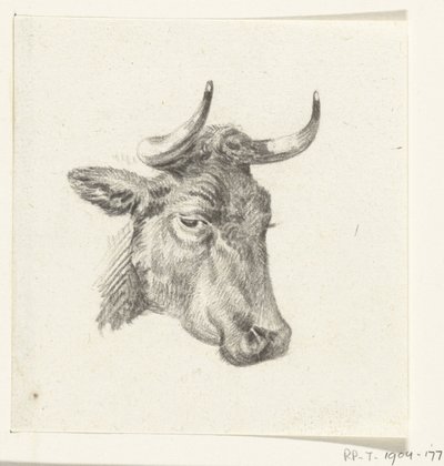 Testa di una mucca da Jean Bernard