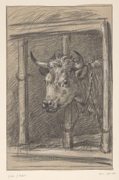 Testa di una mucca, attraverso le sbarre di una stalla da Jean Bernard