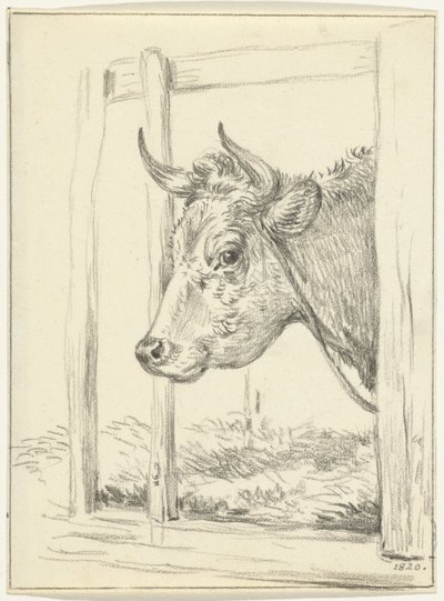 Testa di una mucca, in una stalla, verso sinistra da Jean Bernard