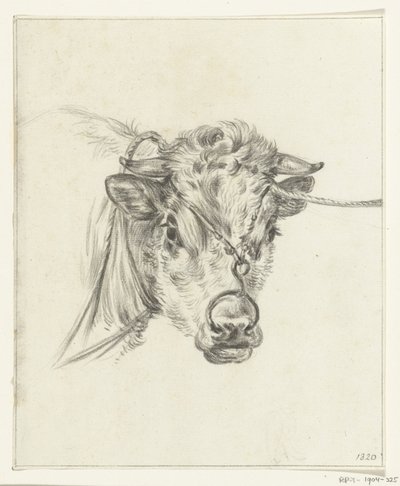 Testa di una mucca, con un anello al naso da Jean Bernard