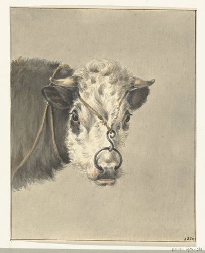 Testa di una mucca, con un anello nel naso, di fronte da Jean Bernard