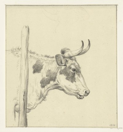 Testa di una mucca, verso destra da Jean Bernard