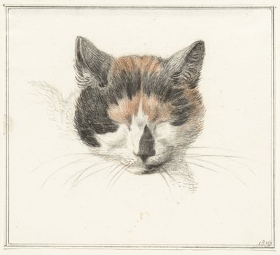 Testa di un gatto pezzato, di fronte, con occhi chiusi da Jean Bernard