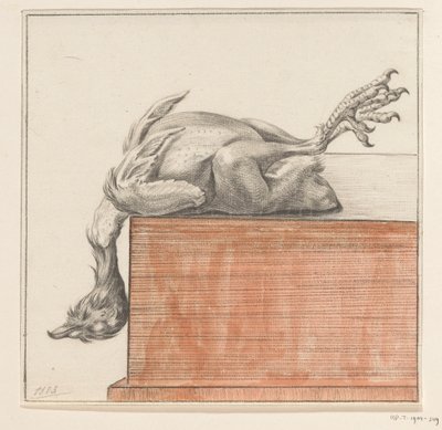 Uccello morto sdraiato, con la testa appesa verso il basso da Jean Bernard