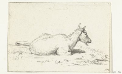 Capra sdraiata, verso destra da Jean Bernard