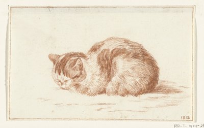 Gatto sdraiato, verso sinistra da Jean Bernard