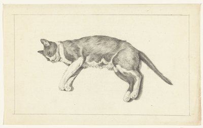 Gatto sdraiato, visto dall