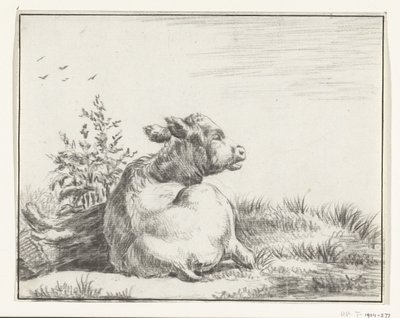 Mucca sdraiata, da dietro da Jean Bernard
