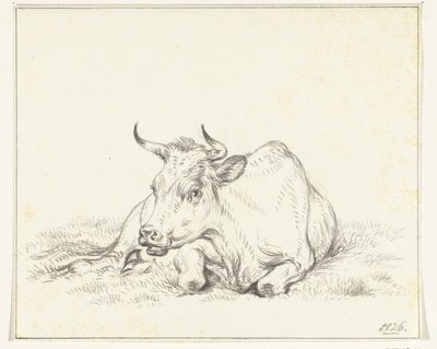 Mucca sdraiata, di fronte da Jean Bernard