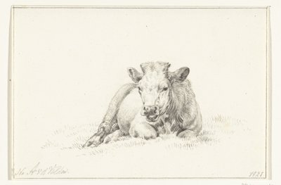 Mucca sdraiata, di fronte da Jean Bernard