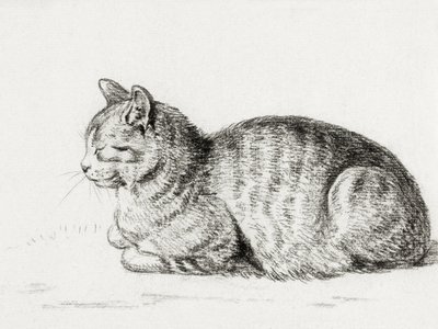 Il gatto sdraiato (1811) da Jean Bernard