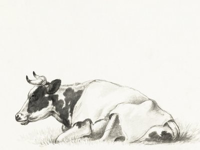 La mucca sdraiata di Jean Bernard da Jean Bernard