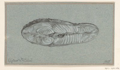 Trancio di salmone cotto da Jean Bernard