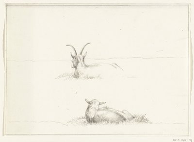 Schizzi di una capra sdraiata e una pecora, da dietro da Jean Bernard