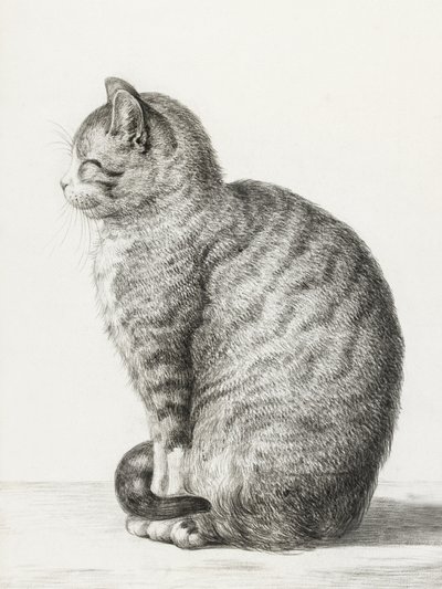 Gatto seduto (1815) da Jean Bernard
