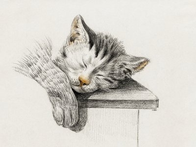 Schizzo di un gatto che dorme da Jean Bernard