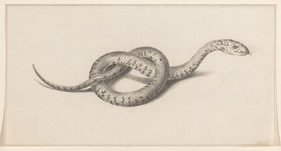 Serpente da Jean Bernard