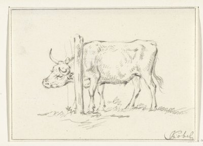 Mucca in piedi, con la testa tra i pali da Jean Bernard
