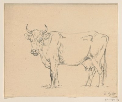 Mucca in piedi, verso sinistra da Jean Bernard