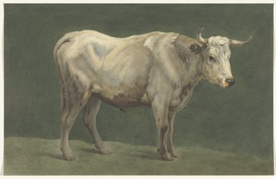 Toro in piedi, verso destra da Jean Bernard