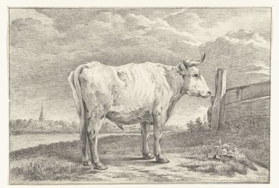 Toro in piedi, verso destra da Jean Bernard