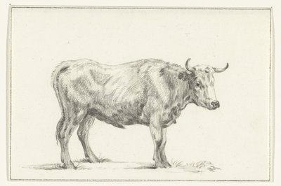 Toro in piedi, verso destra da Jean Bernard