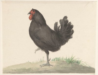 Gallina nera in piedi da Jean Bernard