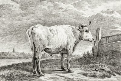 Toro in piedi (1817) da Jean Bernard