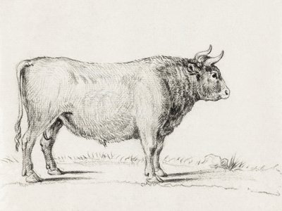 Toro in piedi da Jean Bernard