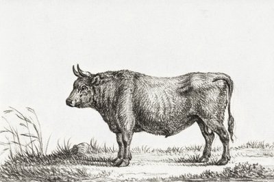 Toro in piedi da Jean Bernard