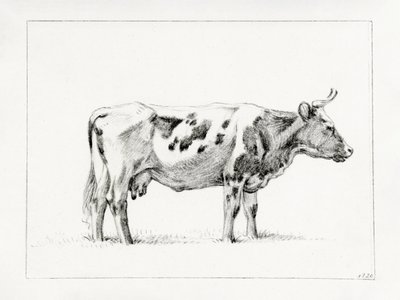 Mucca in piedi (1820) da Jean Bernard