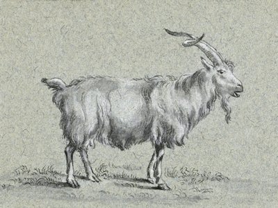 Capra in piedi di Jean Bernard da Jean Bernard