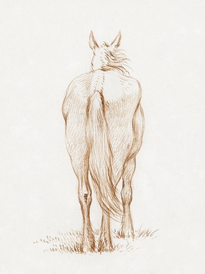 Cavallo in piedi (1815) di Jean Bernard da Jean Bernard