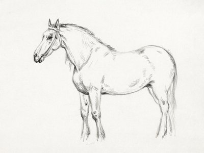 Cavallo in piedi (1818) da Jean Bernard
