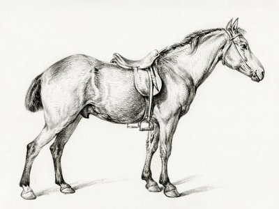 Cavallo in piedi di Jean Bernard (1775-1883) da Jean Bernard