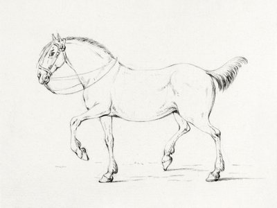 Stepping Horse (1775–1833) da Jean Bernard
