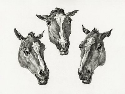 Tre teste di cavallo (1812) da Jean Bernard
