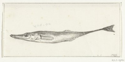 Pesce da Jean Bernard